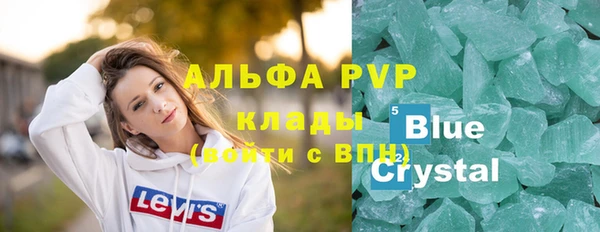 ешки Бородино