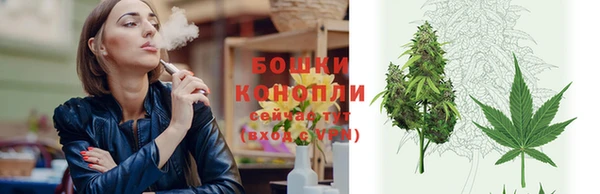 ешки Бородино