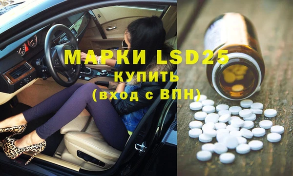 ешки Бородино