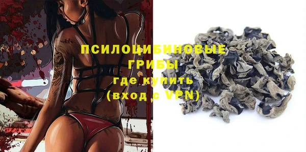 спайс Лагань