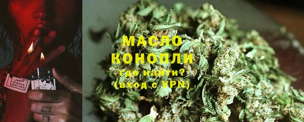 ешки Бородино