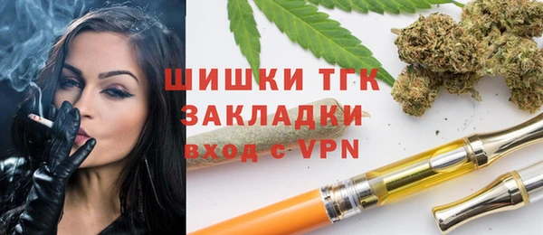 шишки Лабытнанги