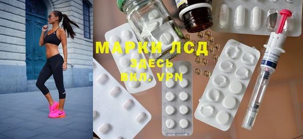 ешки Бородино