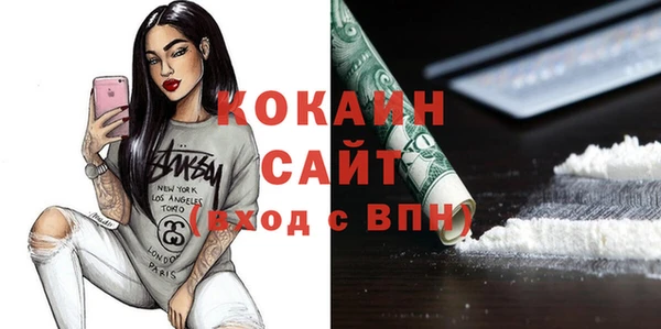 ешки Бородино