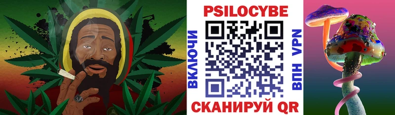Псилоцибиновые грибы Psilocybine cubensis магазин продажи наркотиков Гулькевичи